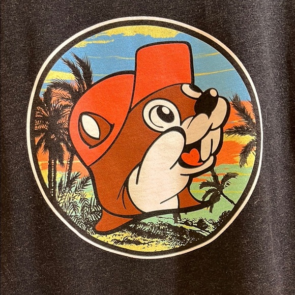 Buc-ee's Is Always A Good Idea Short Sleeve Graphic T Shirt - Size Large - Picture 2 of 10